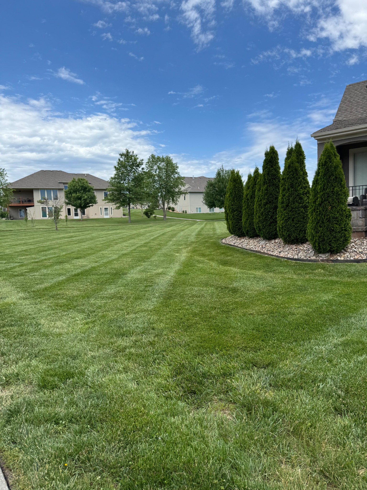 Curved mowing stripes on a lawn maintained by Consumers Lawn Care